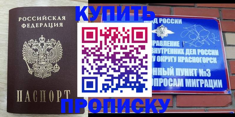 временная регистрация для школы в Новороссийске